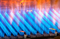 Bodney gas fired boilers
