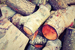 Bodney wood burning boiler costs